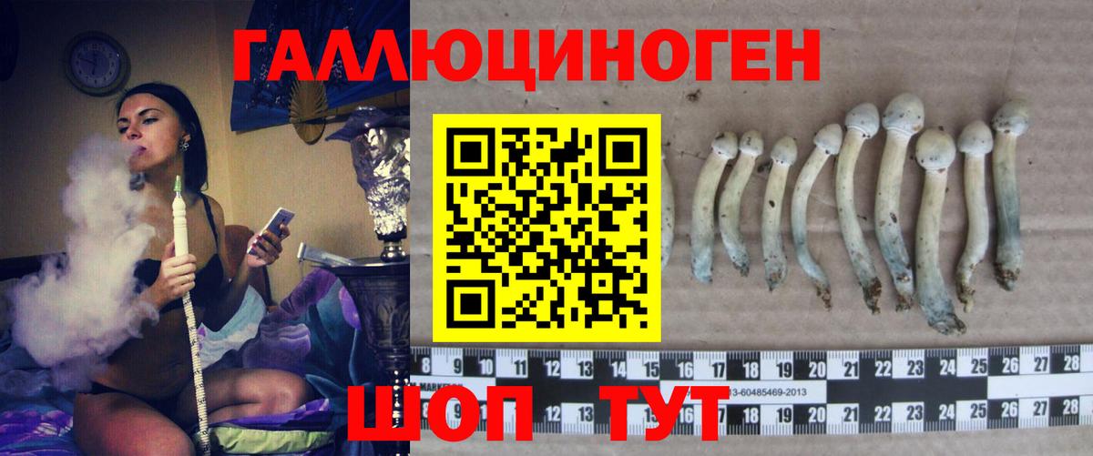 Псилоцибиновые грибы мухоморы  Вход с VPN  Рубцовск 